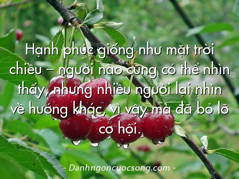 Hạnh phúc giống như mặt trời chiều – người nào cũng có thể nhìn thấy, nhưng nhiều người lại nhìn về hướng khác, vì vậy mà đã bỏ lỡ cơ hội.