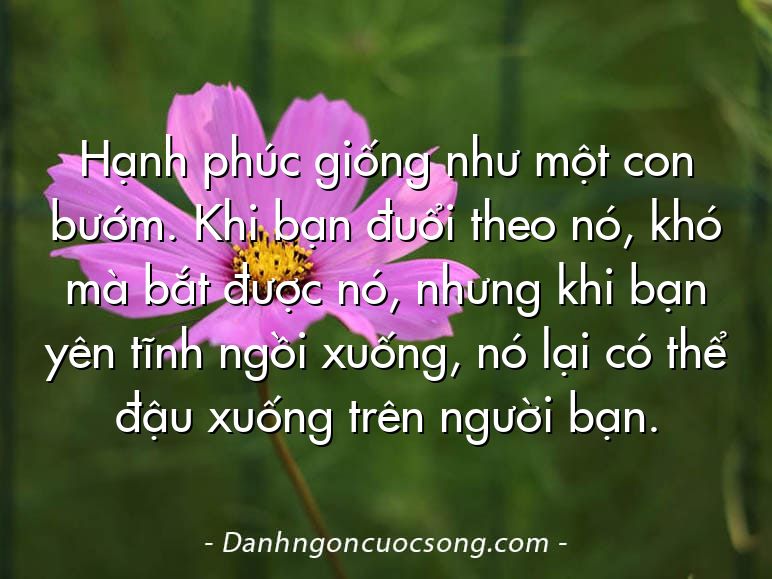 Hạnh phúc giống như một con bướm. Khi bạn đuổi theo nó, khó mà bắt được nó, nhưng khi bạn yên tĩnh ngồi xuống, nó lại có thể đậu xuống trên người bạn.