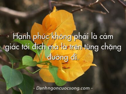 Hạnh phúc không phải là cảm giác tới đích mà là trên từng chặng đường đi.