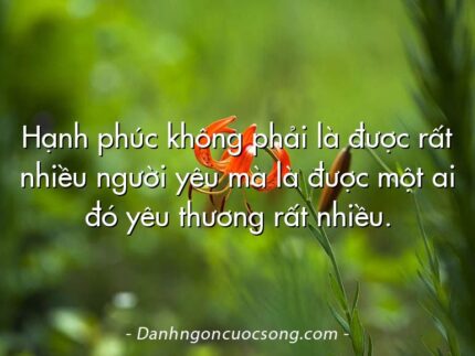 Hạnh phúc không phải là được rất nhiều người yêu mà là được một ai đó yêu thương rất nhiều.