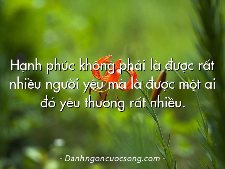 Hạnh phúc không phải là được rất nhiều người yêu mà là được một ai đó yêu thương rất nhiều.