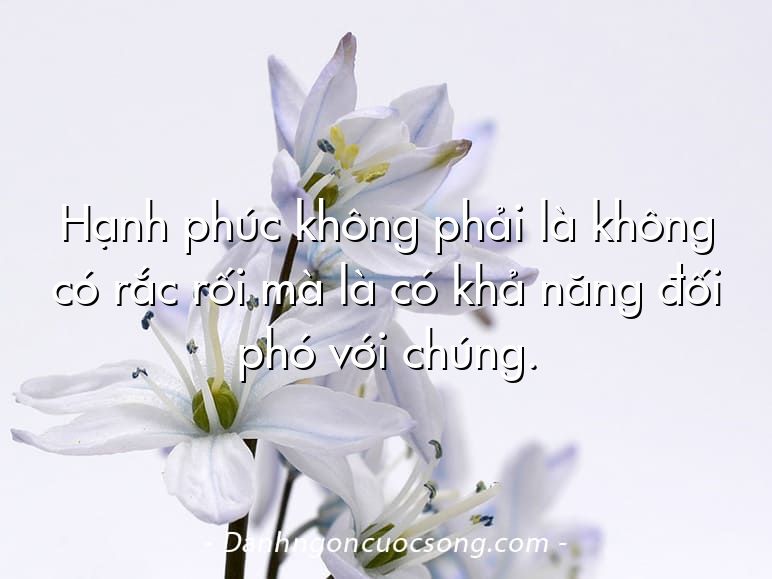 Hạnh phúc không phải là không có rắc rối mà là có khả năng đối phó với chúng.