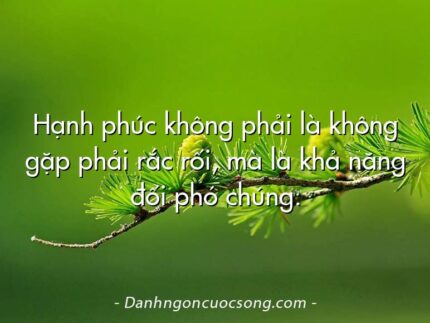 Hạnh phúc không phải là không gặp phải rắc rối, mà là khả năng đối phó chúng.