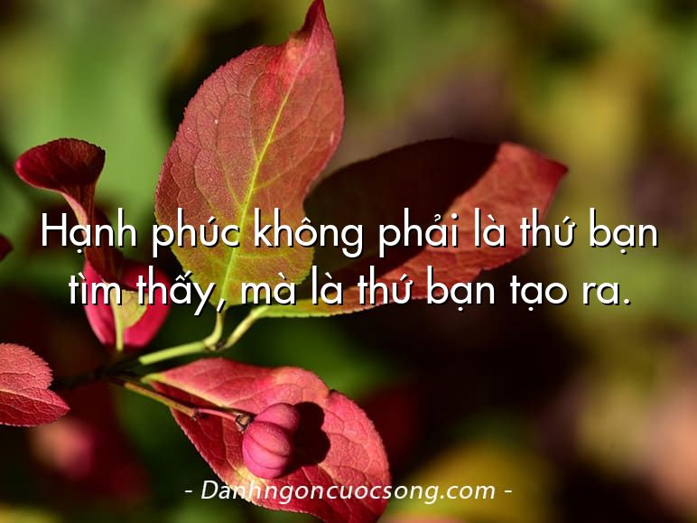 Hạnh phúc không phải là thứ bạn tìm thấy, mà là thứ bạn tạo ra.
