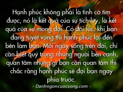 Hạnh phúc không phải là tình cờ tìm được, nó là kết quả của sự tích lũy, là kết quả của sự mong đợi. Có đôi lúc, khi bạn đang tuyệt vọng thì hạnh phúc lại đến bên làm bạn. Mỗi ngày sống trên đời, chỉ cần biết quý trọng những người bên cạnh, quan tâm những gì bạn cần quan tâm thì chắc rằng hạnh phúc sẽ đợi bạn ngay phía trước.