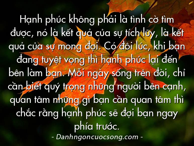 Hạnh phúc không phải là tình cờ tìm được, nó là kết quả của sự tích lũy, là kết quả của sự mong đợi. Có đôi lúc, khi bạn đang tuyệt vọng thì hạnh phúc lại đến bên làm bạn. Mỗi ngày sống trên đời, chỉ cần biết quý trọng những người bên cạnh, quan tâm những gì bạn cần quan tâm thì chắc rằng hạnh phúc sẽ đợi bạn ngay phía trước.