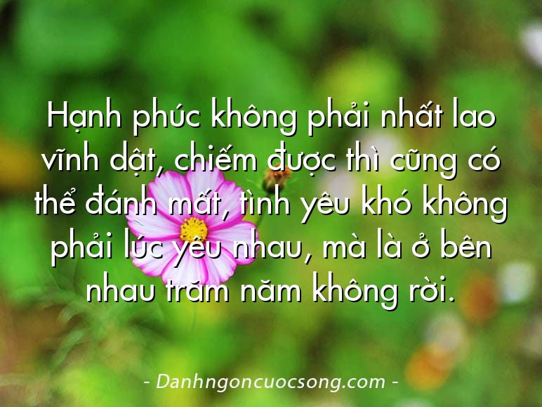 Hạnh phúc không phải nhất lao vĩnh dật, chiếm được thì cũng có thể đánh mất, tình yêu khó không phải lúc yêu nhau, mà là ở bên nhau trăm năm không rời.