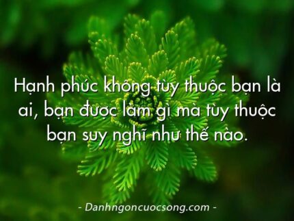 Hạnh phúc không tùy thuộc bạn là ai, bạn được làm gì mà tùy thuộc bạn suy nghĩ như thế nào.