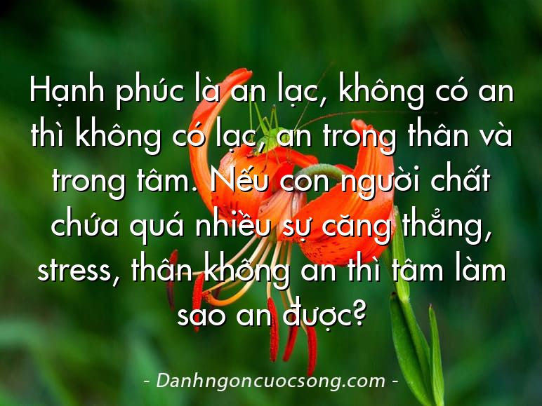 Hạnh phúc là an lạc, không có an thì không có lạc, an trong thân và trong tâm. Nếu con người chất chứa quá nhiều sự căng thẳng, stress, thân không an thì tâm làm sao an được?