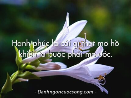 Hạnh phúc là cái gì thật mơ hồ khiến ta buộc phải mơ ước.