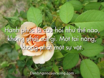 Hạnh phúc là câu hỏi như thế nào, không phải cái gì. Một tài năng, không phải một sự vật.