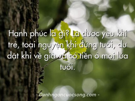 Hạnh phúc là gì? Là được yêu khi trẻ, toại nguyện khi đứng tuổi, dư dật khi về già và có tiền ở mọi lứa tuổi.