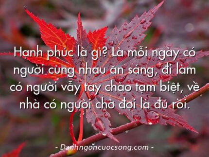 Hạnh phúc là gì? Là mỗi ngày có người cùng nhau ăn sáng, đi làm có người vẫy tay chào tạm biệt, về nhà có người chờ đợi là đủ rồi.