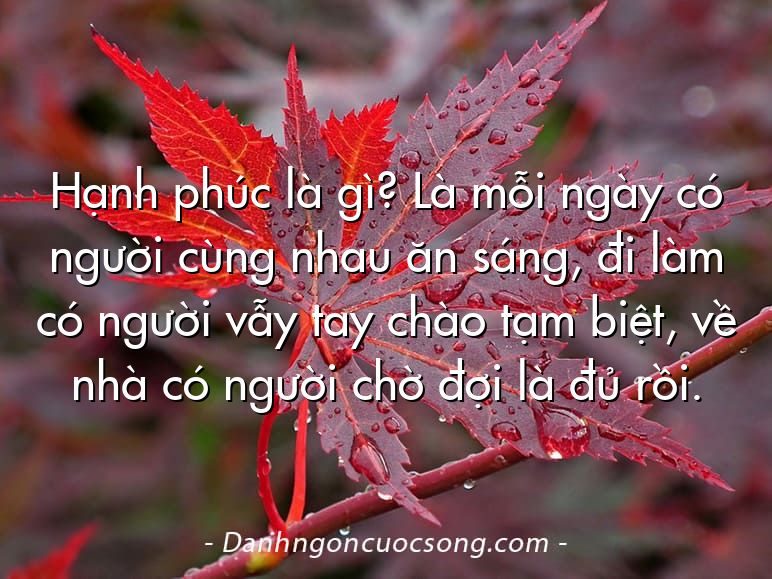 Hạnh phúc là gì? Là mỗi ngày có người cùng nhau ăn sáng, đi làm có người vẫy tay chào tạm biệt, về nhà có người chờ đợi là đủ rồi.