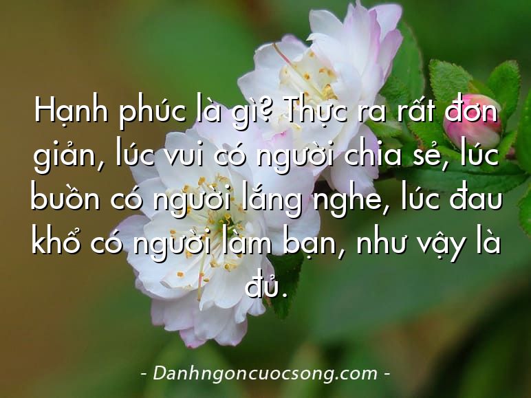 Hạnh phúc là gì? Thực ra rất đơn giản, lúc vui có người chia sẻ, lúc buồn có người lắng nghe, lúc đau khổ có người làm bạn, như vậy là đủ.