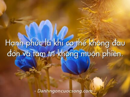 Hạnh phúc là khi cơ thể không đau đớn và tâm trí không muộn phiền.