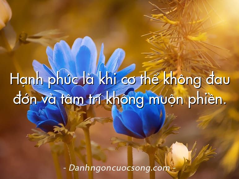 Hạnh phúc là khi cơ thể không đau đớn và tâm trí không muộn phiền.