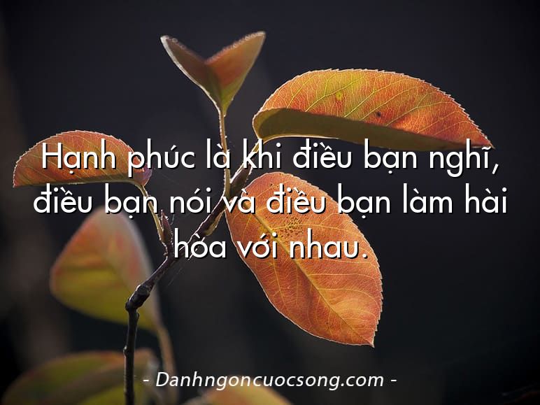Hạnh phúc là khi điều bạn nghĩ, điều bạn nói và điều bạn làm hài hòa với nhau.