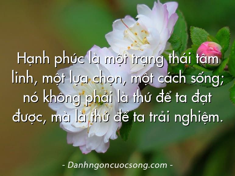 Hạnh phúc là một trạng thái tâm linh, một lựa chọn, một cách sống; nó không phải là thứ để ta đạt được, mà là thứ để ta trải nghiệm.