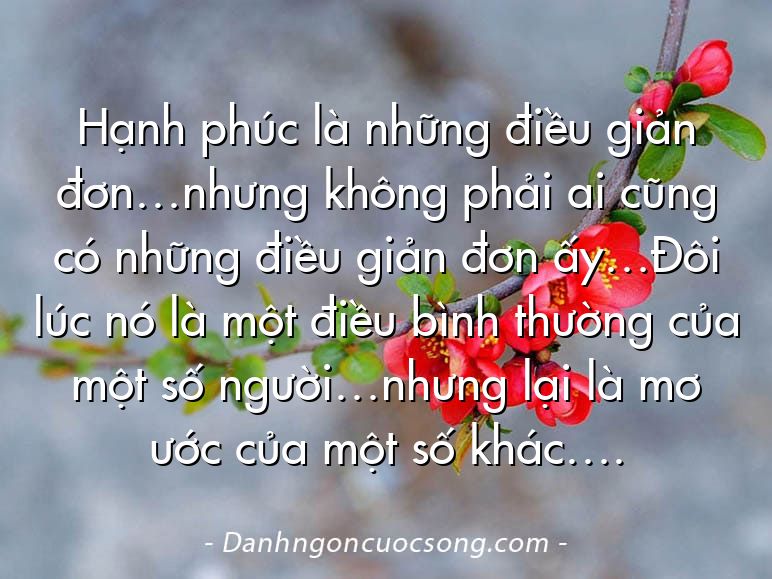 Hạnh phúc là những điều giản đơn…nhưng không phải ai cũng có những điều giản đơn ấy…Đôi lúc nó là một điều bình thường của một số người…nhưng lại là mơ ước của một số khác….