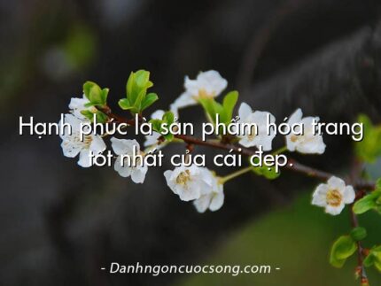 Hạnh phúc là sản phẩm hóa trang tốt nhất của cái đẹp.