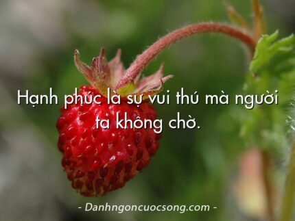 Hạnh phúc là sự vui thú mà người ta không chờ.