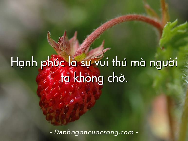 Hạnh phúc là sự vui thú mà người ta không chờ.
