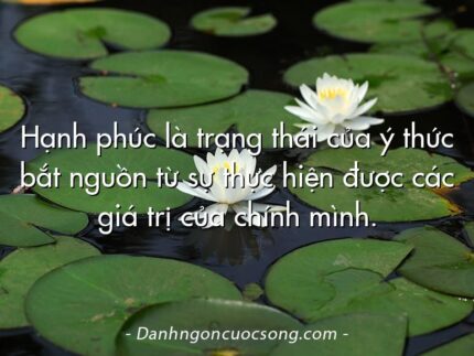Hạnh phúc là trạng thái của ý thức bắt nguồn từ sự thực hiện được các giá trị của chính mình.