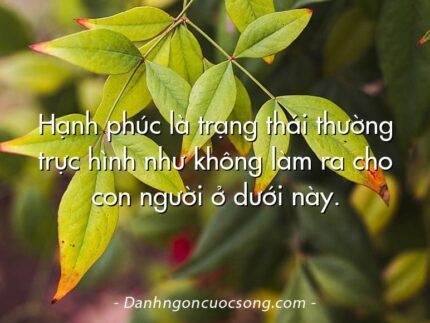 Hạnh phúc là trạng thái thường trực hình như không làm ra cho con người ở dưới này.