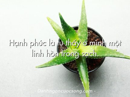 Hạnh phúc là tự thấy ở mình một linh hồn trong sạch.