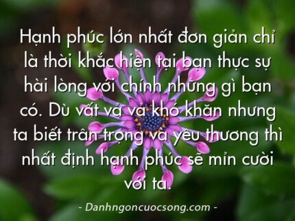 Hạnh phúc lớn nhất đơn giản chỉ là thời khắc hiện tại bạn thực sự hài lòng với chính những gì bạn có. Dù vất vả vả khó khăn nhưng ta biết trân trọng và yêu thương thì nhất định hạnh phúc sẽ mỉn cười với ta.