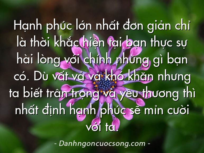 Hạnh phúc lớn nhất đơn giản chỉ là thời khắc hiện tại bạn thực sự hài lòng với chính những gì bạn có. Dù vất vả vả khó khăn nhưng ta biết trân trọng và yêu thương thì nhất định hạnh phúc sẽ mỉn cười với ta.