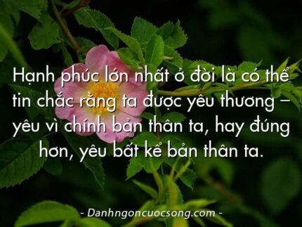 Hạnh phúc lớn nhất ở đời là có thể tin chắc rằng ta được yêu thương – yêu vì chính bản thân ta, hay đúng hơn, yêu bất kể bản thân ta.