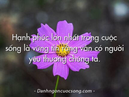 Hạnh phúc lớn nhất trong cuộc sống là vững tin rằng vẫn có người yêu thương chúng ta.