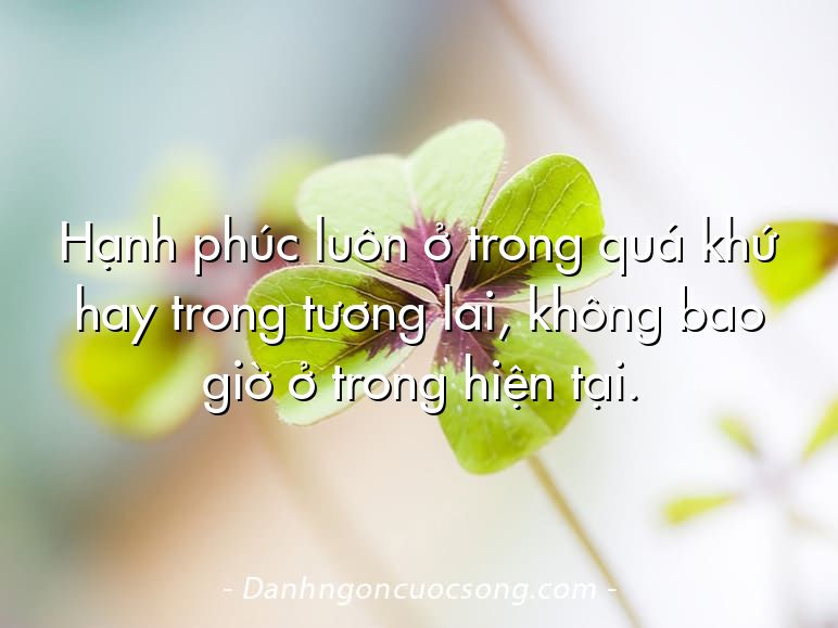 Hạnh phúc luôn ở trong quá khứ hay trong tương lai, không bao giờ ở trong hiện tại.