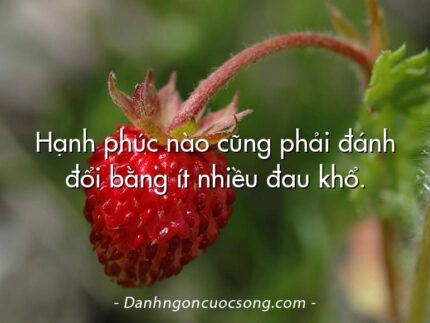 Hạnh phúc nào cũng phải đánh đổi bằng ít nhiều đau khổ.