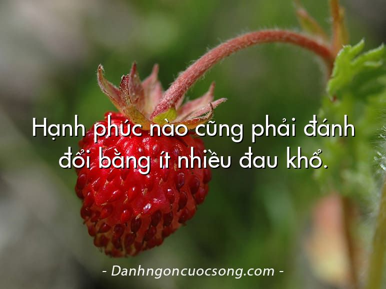 Hạnh phúc nào cũng phải đánh đổi bằng ít nhiều đau khổ.