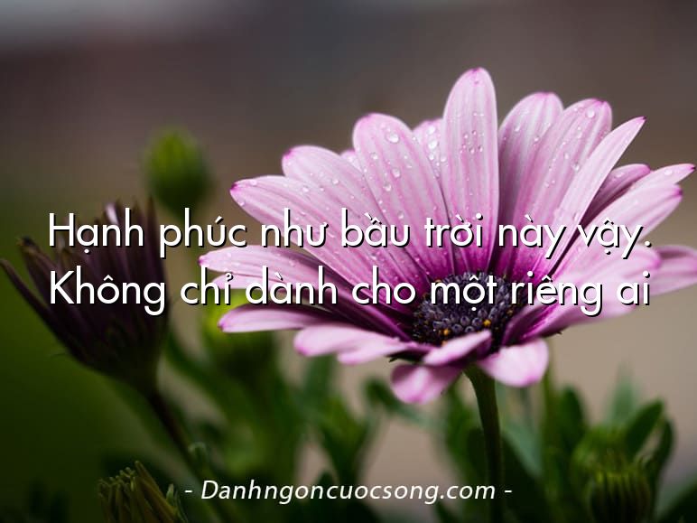 Hạnh phúc như bầu trời này vậy. Không chỉ dành cho một riêng ai