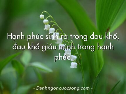 Hạnh phúc sinh ra trong đau khổ, đau khổ giấu mình trong hạnh phúc.