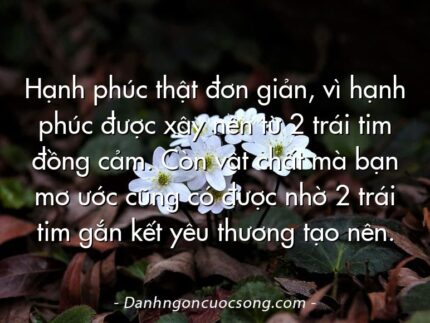 Hạnh phúc thật đơn giản, vì hạnh phúc được xây nên từ 2 trái tim đồng cảm. Còn vật chất mà bạn mơ ước cũng có được nhờ 2 trái tim gắn kết yêu thương tạo nên.