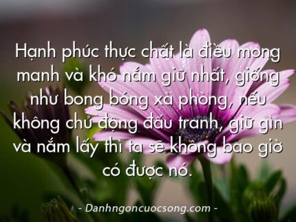 Hạnh phúc thực chất là điều mong manh và khó nắm giữ nhất, giống như bong bóng xà phòng, nếu không chủ động đấu tranh, giữ gìn và nắm lấy thì ta sẽ không bao giờ có được nó.