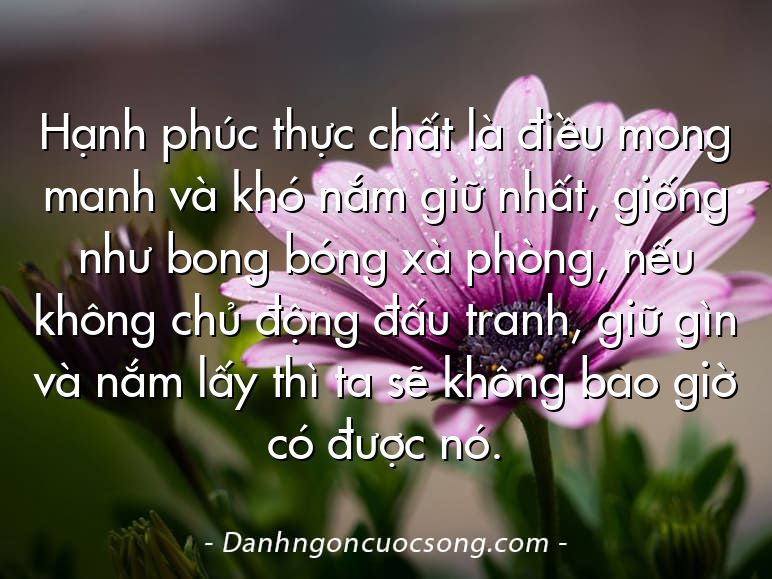 Hạnh phúc thực chất là điều mong manh và khó nắm giữ nhất, giống như bong bóng xà phòng, nếu không chủ động đấu tranh, giữ gìn và nắm lấy thì ta sẽ không bao giờ có được nó.