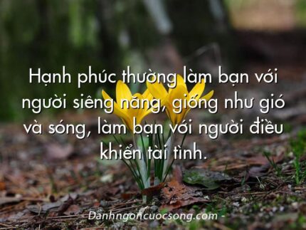 Hạnh phúc thường làm bạn với người siêng năng, giống như gió và sóng, làm bạn với người điều khiển tài tình.