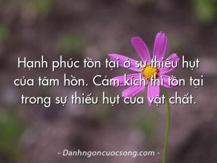 Hạnh phúc tồn tại ở sự thiếu hụt của tâm hồn. Cảm kích thì tồn tại trong sự thiếu hụt của vật chất.