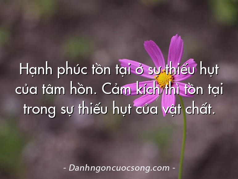 Hạnh phúc tồn tại ở sự thiếu hụt của tâm hồn. Cảm kích thì tồn tại trong sự thiếu hụt của vật chất.