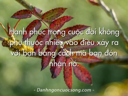 Hạnh phúc trong cuộc đời không phụ thuộc nhiều vào điều xảy ra với bạn bằng cách mà bạn đón nhận nó.