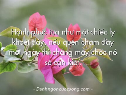 Hạnh phúc tựa như một chiếc ly khoét đáy, nếu quên châm đầy mỗi ngày thì chẳng mấy chốc nó sẽ cạn kiệt.