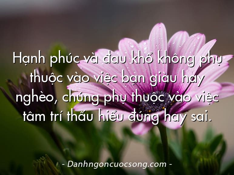 Hạnh phúc và đau khổ không phụ thuộc vào việc bạn giàu hay nghèo, chúng phụ thuộc vào việc tâm trí thấu hiểu đúng hay sai.