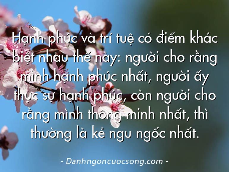 Hạnh phúc và trí tuệ có điểm khác biệt nhau thế này: người cho rằng mình hạnh phúc nhất, người ấy thực sự hạnh phúc, còn người cho rằng mình thông minh nhất, thì thường là kẻ ngu ngốc nhất.