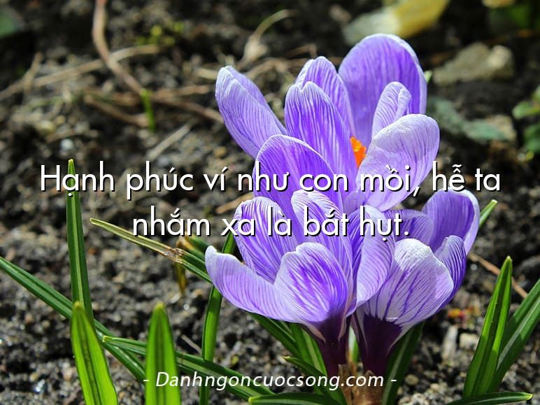 Hạnh phúc ví như con mồi, hễ ta nhắm xa là bắt hụt.